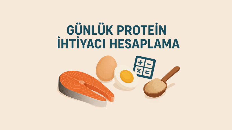Günlük Protein İhtiyacı Hesaplama