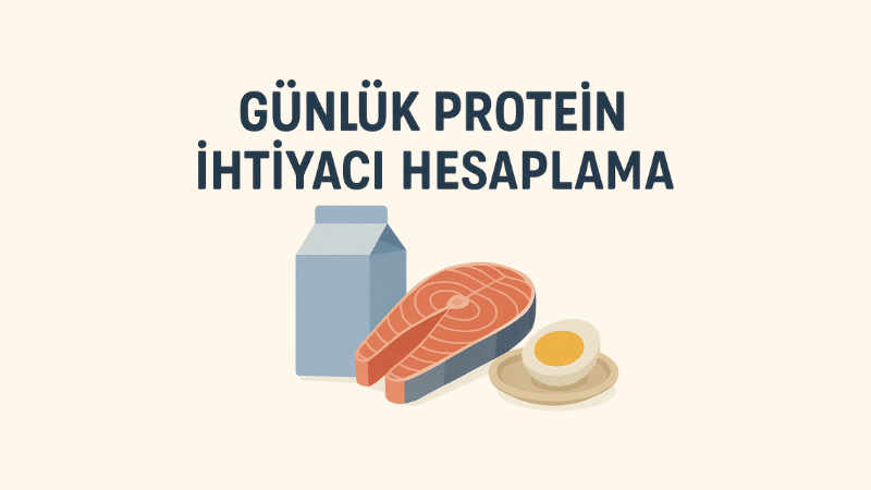 Günlük Protein İhtiyacı Hesaplama