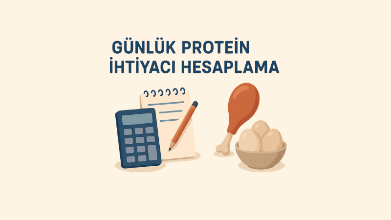 Günlük Protein İhtiyacı Hesaplama