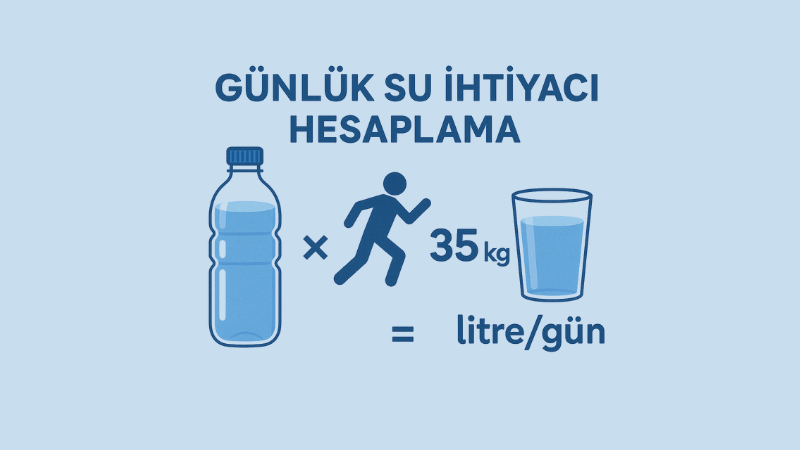 Günlük Su İhtiyacı Hesaplama