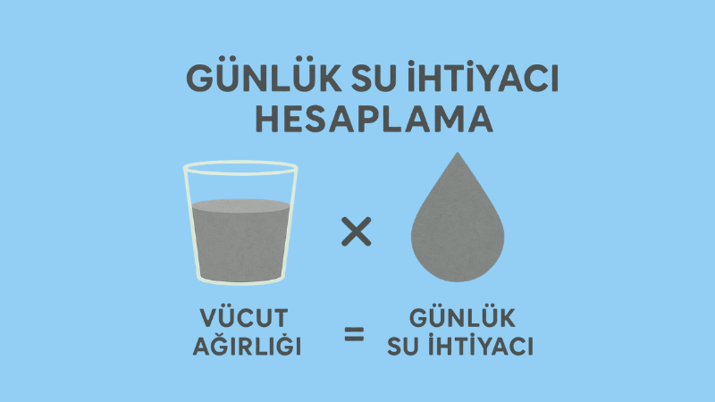 Günlük Su İhtiyacı Hesaplama