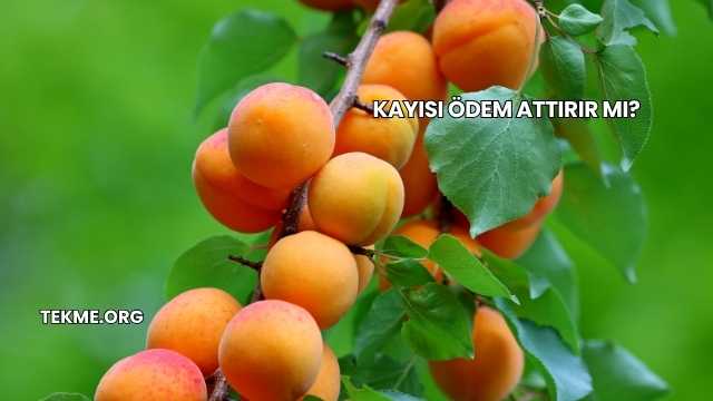 Kayısı Ödem Attırır mı?