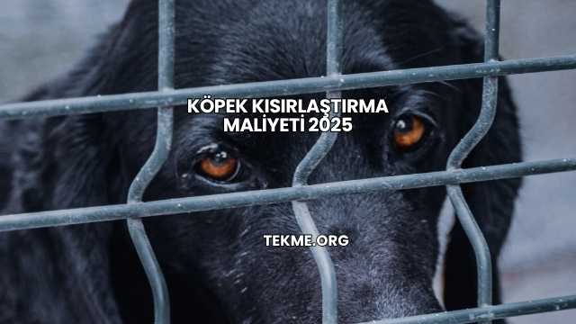 Köpek Kısırlaştırma Maliyeti 2025