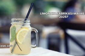 Limonata Fabrikası Maliyeti 2025?