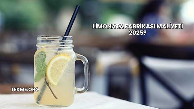 Limonata Fabrikası Maliyeti 2025?