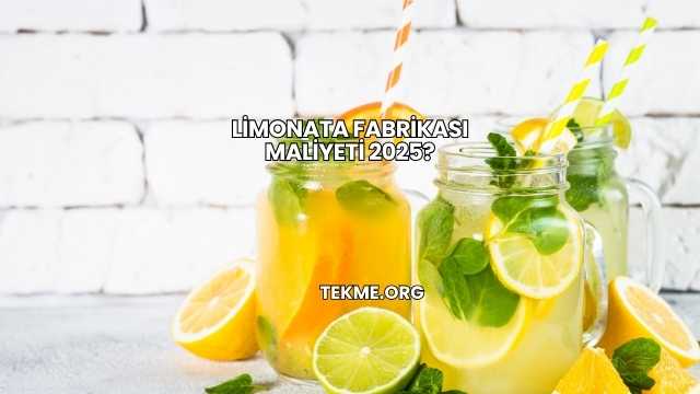 Limonata Fabrikası Maliyeti 2025?