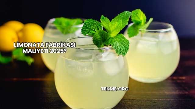 Limonata Fabrikası Maliyeti 2025?