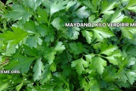 Maydanoz Kilo Verdirir mi?