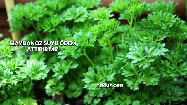 Maydanoz Suyu Ödem Attırır mı?