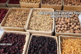 Meyve Sebze Kurutma Tesisi Maliyeti 2025
