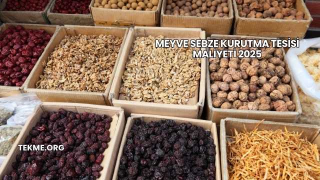 Meyve Sebze Kurutma Tesisi Maliyeti 2025