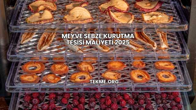 Meyve Sebze Kurutma Tesisi Maliyeti 2025