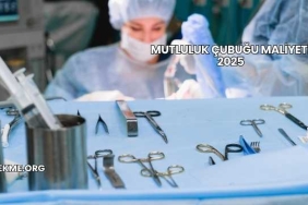 Mutluluk Çubuğu Maliyeti 2025