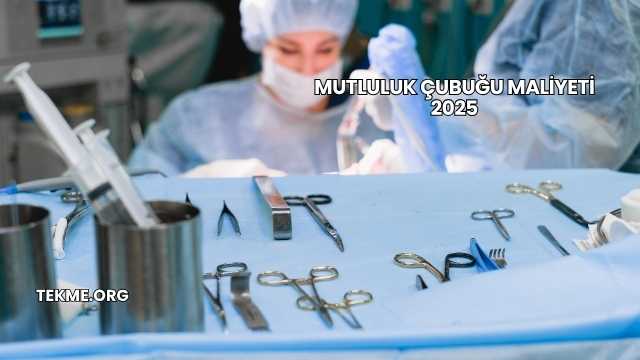 Mutluluk Çubuğu Maliyeti 2025