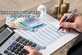 Özsermaye Maliyeti Nasıl Hesaplanır?
