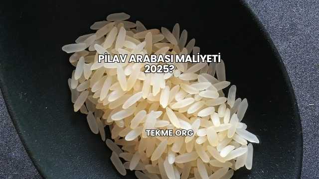 Pilav Arabası Maliyeti 2025?