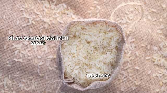 Pilav Arabası Maliyeti 2025?