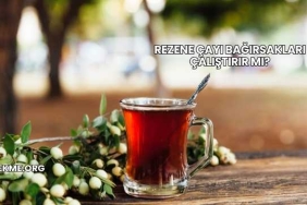 Rezene Çayı Bağırsakları Çalıştırır mı?