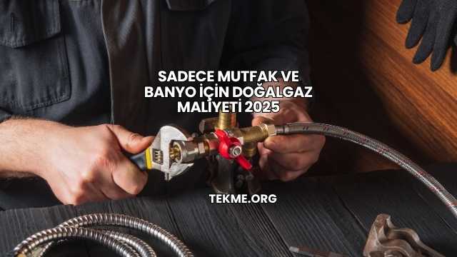 Sadece Mutfak ve Banyo İçin Doğalgaz Maliyeti 2025