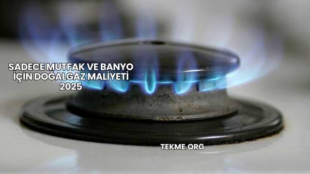 Sadece Mutfak ve Banyo İçin Doğalgaz Maliyeti 2025
