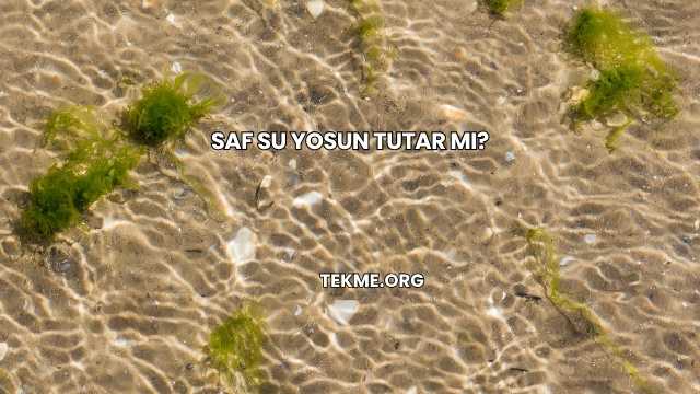 Saf Su Yosun Tutar mı?