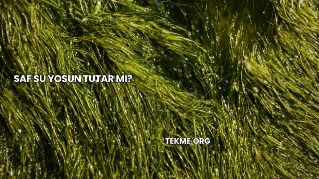 Saf Su Yosun Tutar mı?