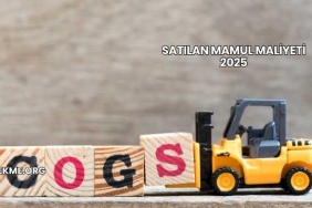 Satılan Mamul Maliyeti 2025