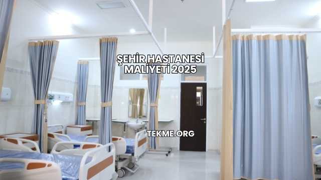 Şehir Hastanesi Maliyeti 2025