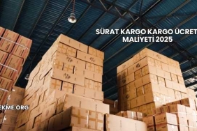 Sürat Kargo Kargo Ücreti Maliyeti 2025