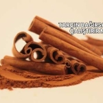 Tarçın Bağırsakları Çalıştırır mı?