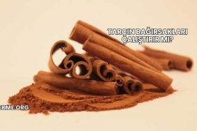 Tarçın Bağırsakları Çalıştırır mı?