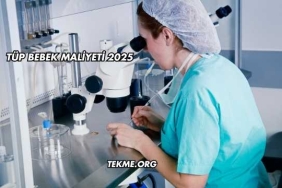 Tüp Bebek Maliyeti 2025