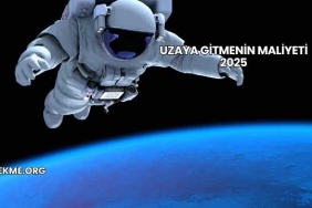 Uzaya Gitmenin Maliyeti 2025