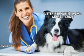 Veteriner Kliniği Açma Maliyeti 2025