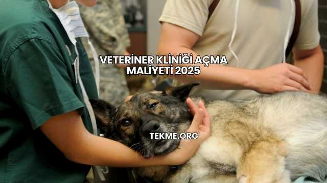 Veteriner Kliniği Açma Maliyeti 2025