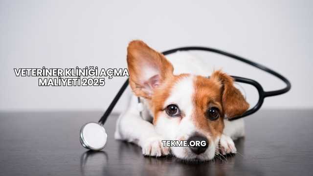 Veteriner Kliniği Açma Maliyeti 2025