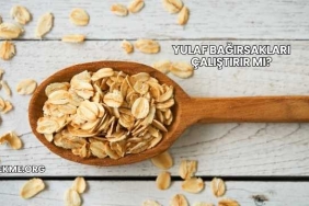 Yulaf Bağırsakları Çalıştırır mı?