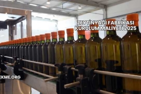 Zeytinyağı Fabrikası Kurulum Maliyeti 2025