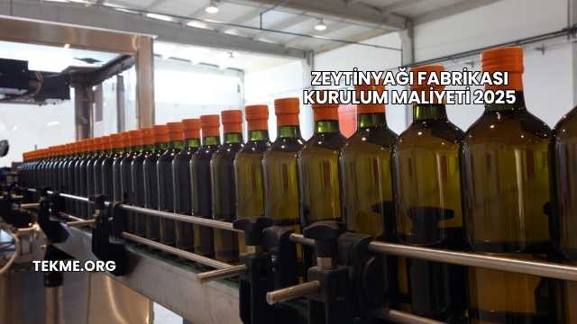 Zeytinyağı Fabrikası Kurulum Maliyeti 2025