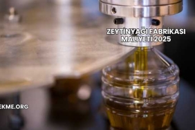 Zeytinyağı Fabrikası Maliyeti 2025