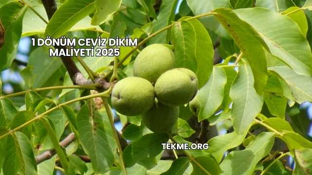 1 Dönüm Ceviz Dikim Maliyeti 2025