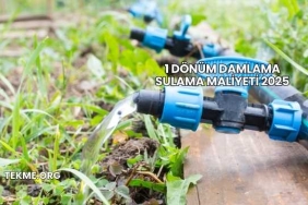 1 Dönüm Damlama Sulama Maliyeti 2025
