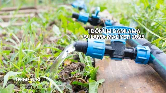 1 Dönüm Damlama Sulama Maliyeti 2025