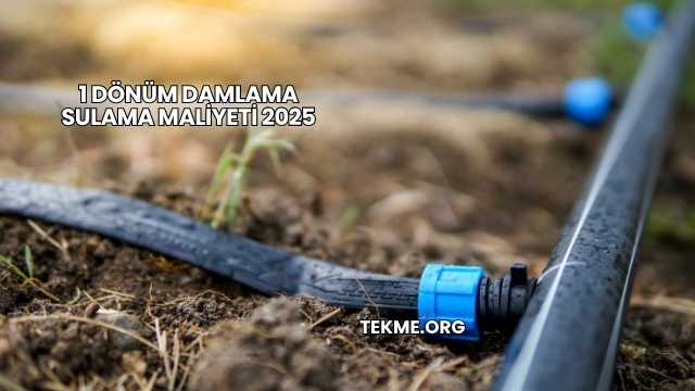 1 Dönüm Damlama Sulama Maliyeti 2025