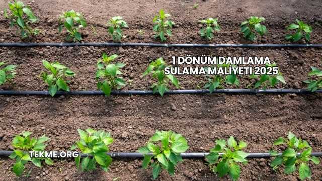 1 Dönüm Damlama Sulama Maliyeti 2025