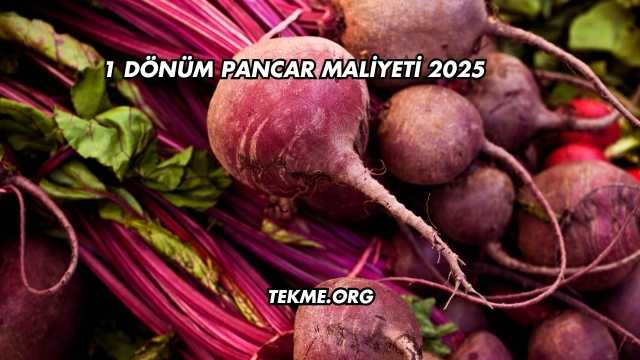 1 Dönüm Pancar Maliyeti 2025