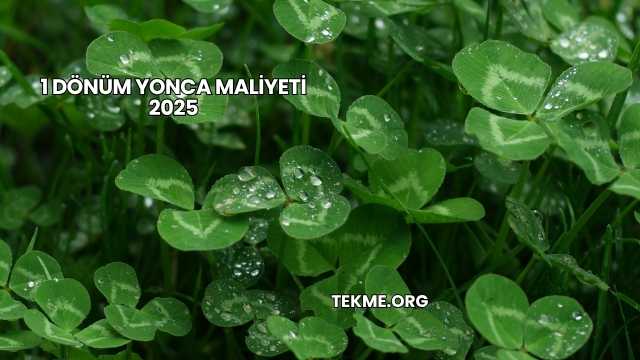 1 Dönüm Yonca Maliyeti 2025