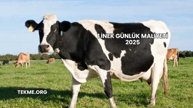 1 İnek Günlük Maliyeti 2025