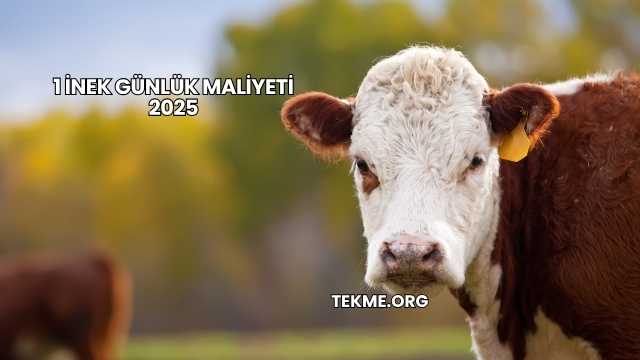 1 İnek Günlük Maliyeti 2025