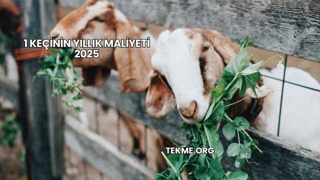 1 Keçinin Yıllık Maliyeti 2025